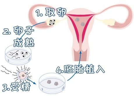林医生